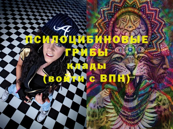 прущие грибы Алексин