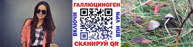 Галлюциногенные грибы Magic Shrooms  Протвино 